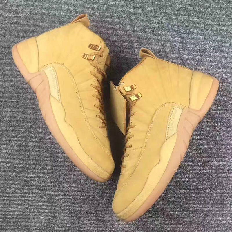 2017 Air Jordan 12 All Brown Shoes